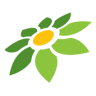 CARA AFILIASI TOKOPEDIA